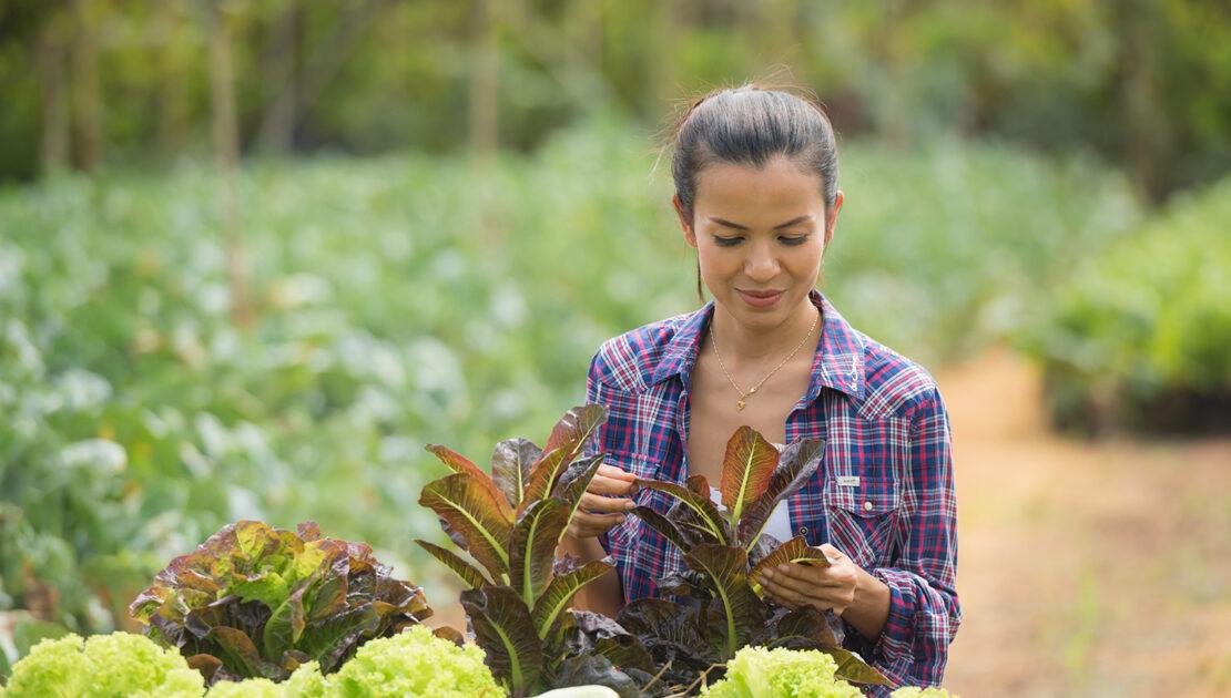 curso técnico em agricultura