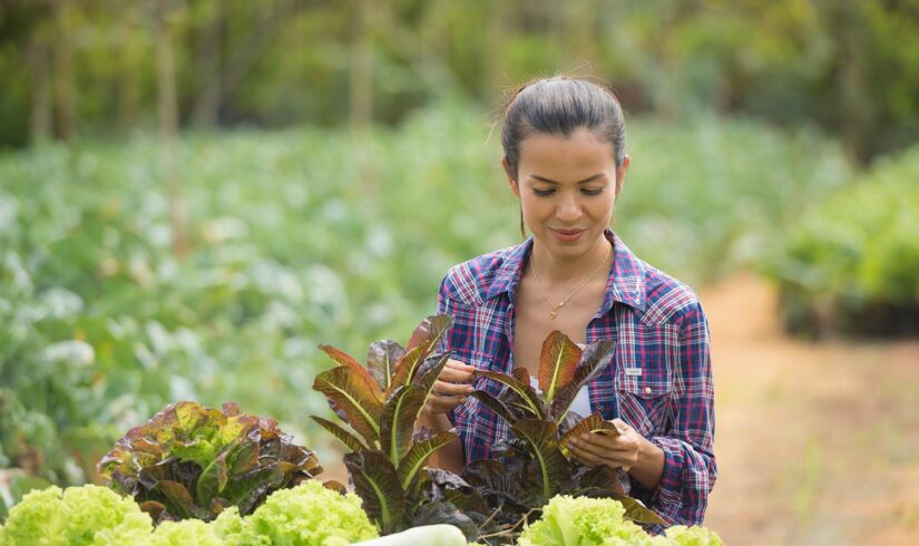 curso técnico em agricultura
