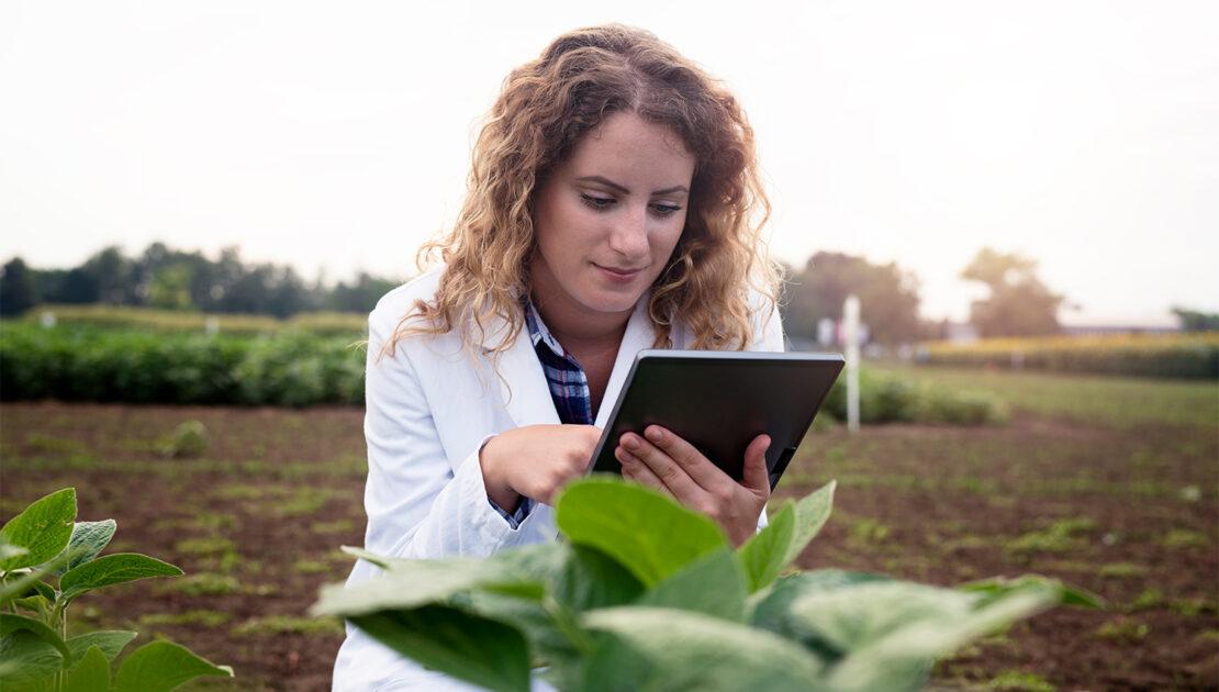 curso técnico em agricultura