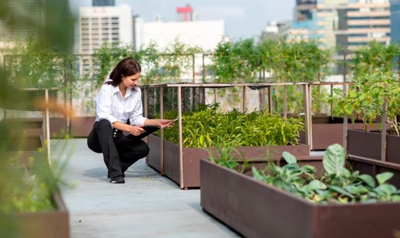 curso técnico em agricultura